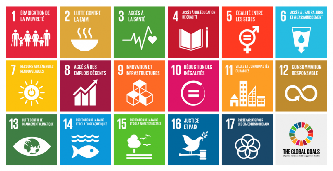 SDGs 2030_Les 17 Objectifs du Développement Durable