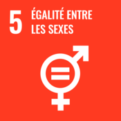 SDG 5 égalité entre les sexes: icon